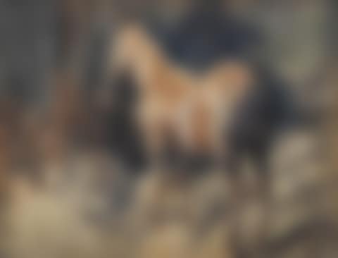 A bay hunter (preview)