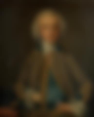 Portrait of Robert Godolphin Owen, half-length, in a gold braided grey-brown coat  (preview)