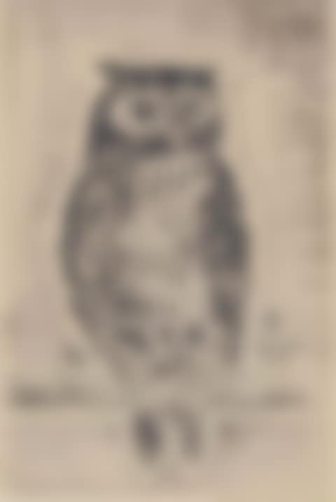 Hibou (preview)