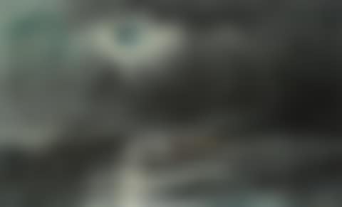 The American liner St. Louis hove-to in mid-Atlantic rendering assistance to another vessel endangered by a fire (preview)