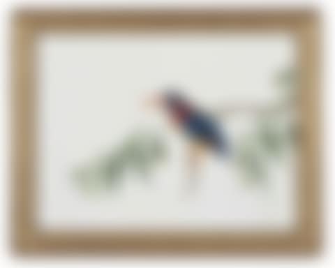 A SET OF 22 ORNITHOLOGICAL STUDIES (preview)