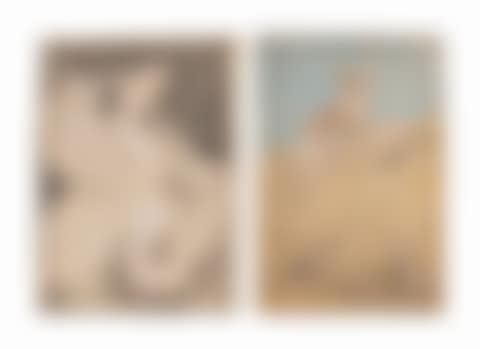 WOMAN WITH SWAN REFLECTION' & 'WOMAN ON A SAND DUNE WITH DOG' (preview)