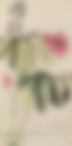 Lotus (preview)