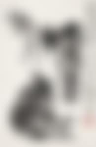 DONKEYS (preview)