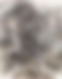 Mountain Covered in Pine Trees (preview)