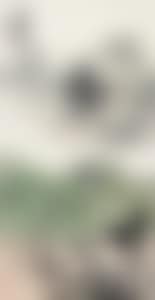 LANDSCAPE (preview)
