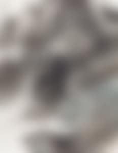 Mountain Scenery (preview)