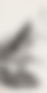 LANDSCAPE (preview)