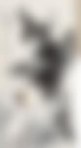 FIGURE (preview)