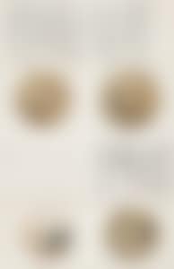 VARIOUS SUBJECTS (preview)