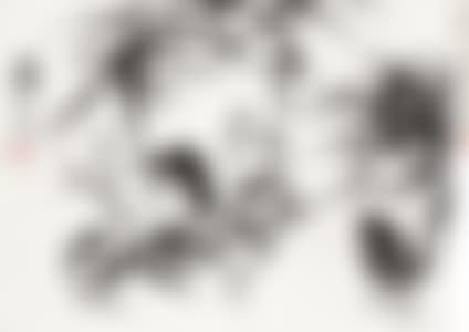 CHICKS (preview)