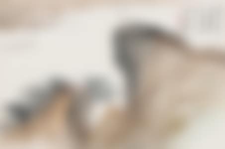 LANDSCAPE (preview)