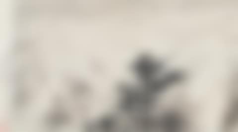 LANDSCAPE INSPIRED BY A POEM OF CHAIRMAN MAO (preview)