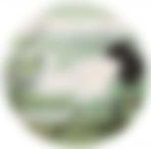EGRETS (preview)