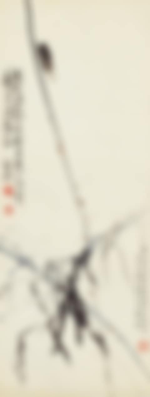 CICADA (preview)