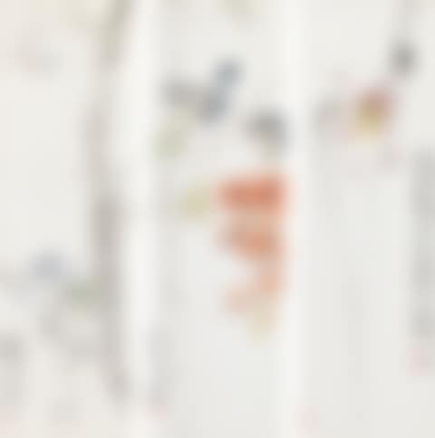 FLOWERS (preview)
