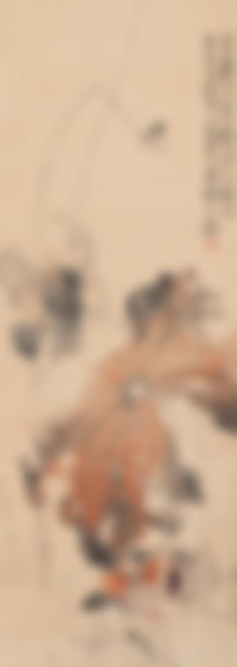 MANDARIN DUCKS UNDER LOTUS LEAF (preview)