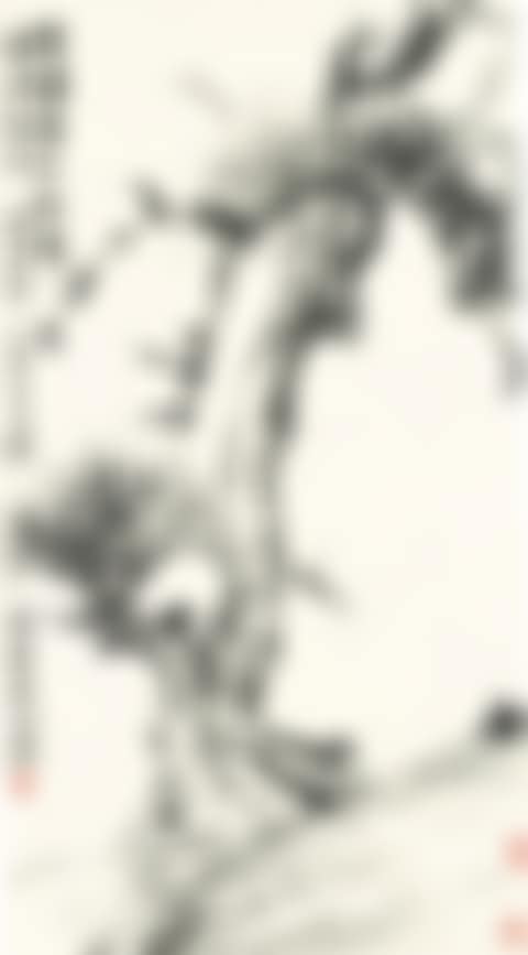 PINE TREE (preview)