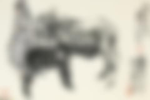 GIRL AND TWO DONKEYS (preview)