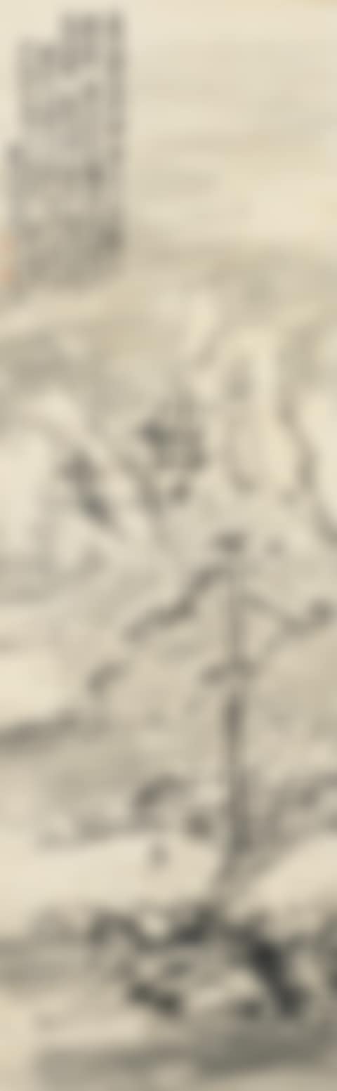 WINTER LANDSCAPE (preview)