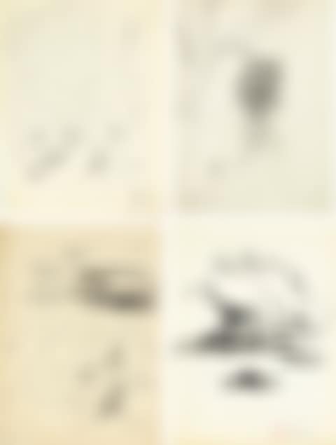 DRAWINGS (preview)