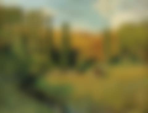 PAYSAGE EN CREUSE (preview)