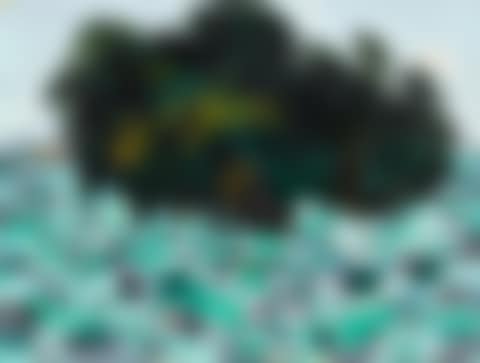 A BANYAN AND LOTUS FLOWERS (preview)