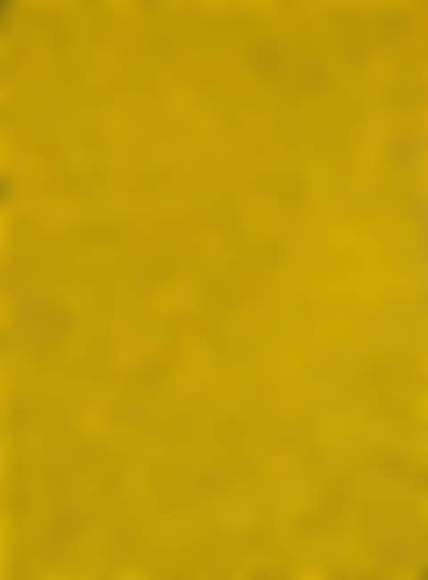 NET-NO.2 YELLOW (preview)