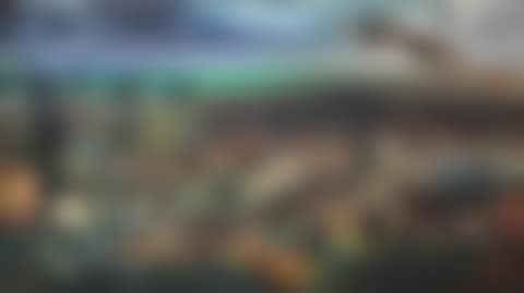 CUCU-CUCU WITARSA MENGENANG BINTANG PSSI. ALM. DJAMIART DHALHAR (THE GRANDCHILDREN OF WITARSA COMMEMORATING INDONESIAN FOOTBALL STAR, THE LATE DJAMIAT DHALHAR) (preview)