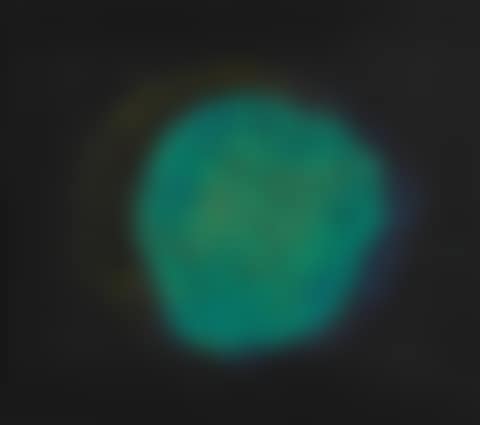 UNTITLED (preview)