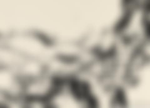 UNTITLED (preview)