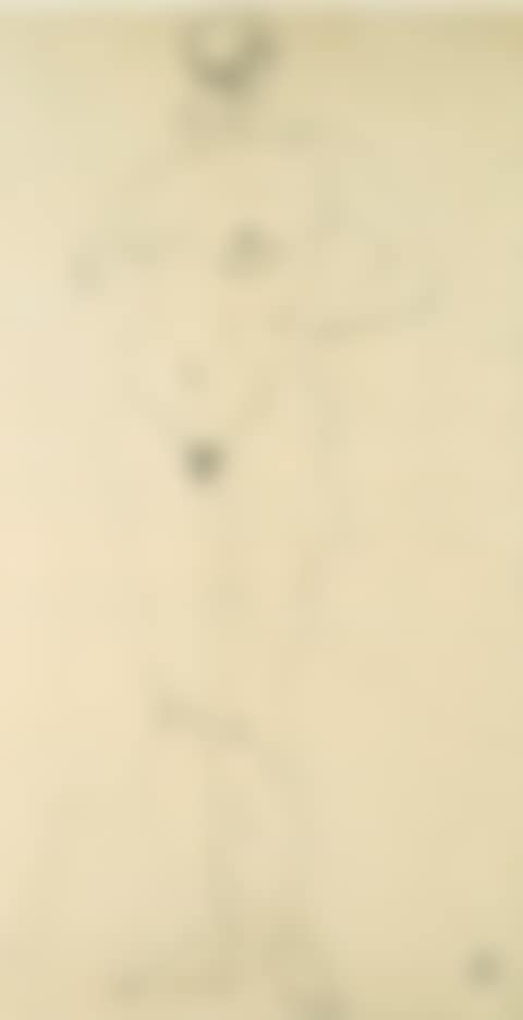 NUDE (preview)