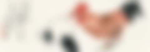 FAMILY OF CHICKENS (preview)