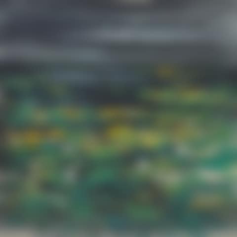 LOTUS POND (preview)