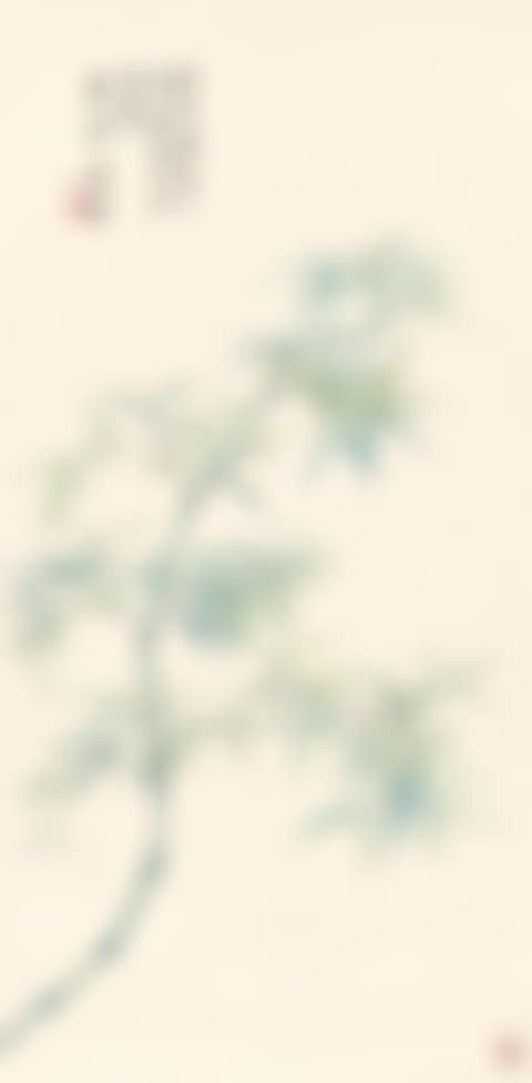 BAMBOO (preview)