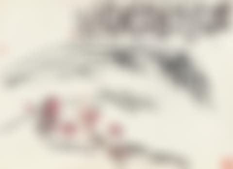 PLUM BLOSSOMS AND WILLOW (preview)