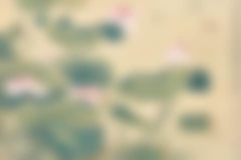 DRAGONFLIES IN LOTUS POND (preview)