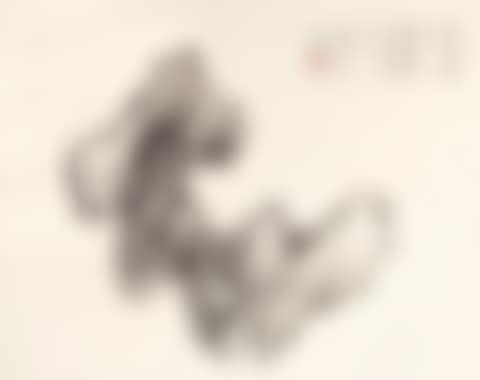SCHOLAR ROCK (preview)