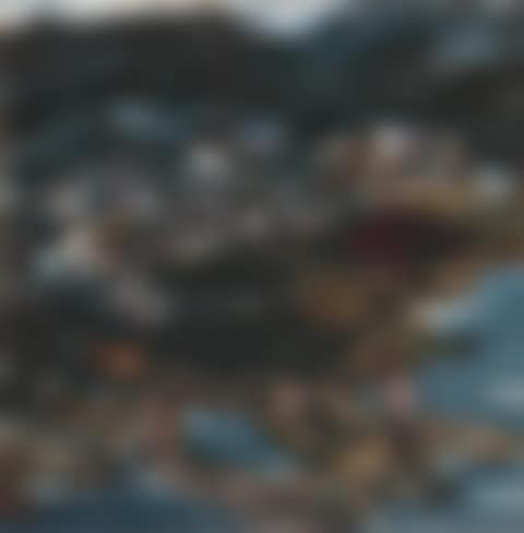 FISHING BOATS AT THE DOCK (preview)