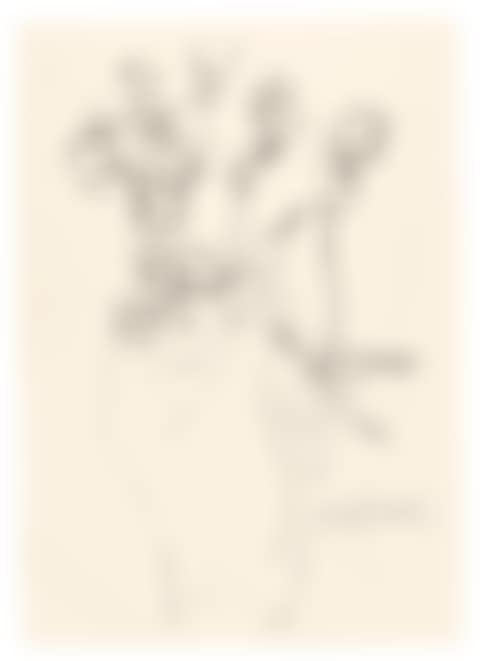 HAND AND FLOWERS (SEE F. & S. IV.125B) (preview)