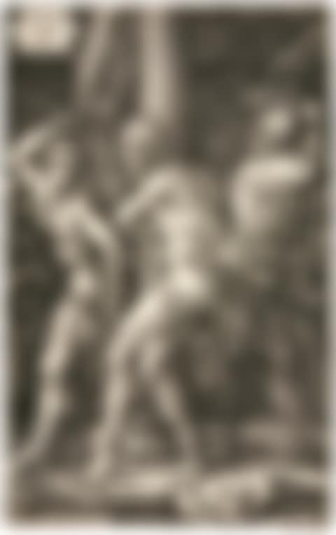 THE FLAGELLATION (B., M., HOLL. 8) (preview)