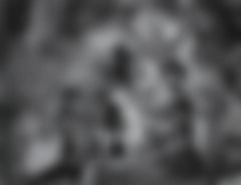 CIRCUMNAVIGATION OF THE BLOOD' (preview)