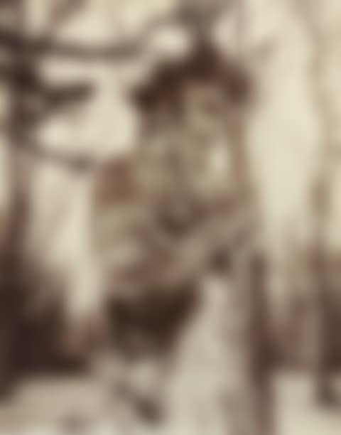 VERSAILLES (FAUNE)' (preview)