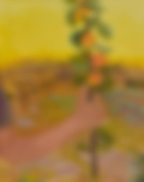 HOLDING ORANGES (preview)