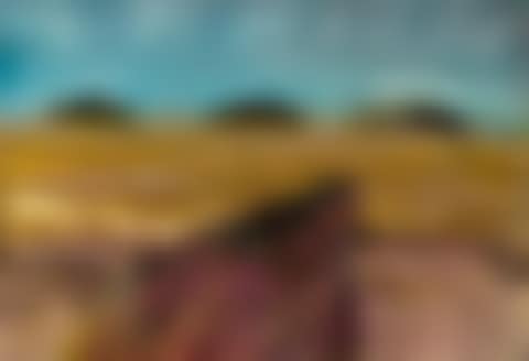 LANDSCAPE (preview)