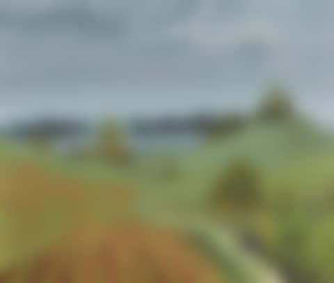 LANDSCAPE (preview)