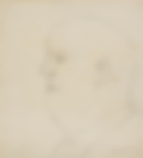 PORTRAIT OF A MAN (preview)