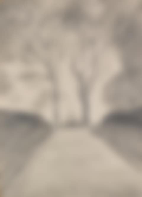 JUDY LANE (preview)