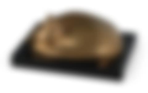 SLEEPING CAT (preview)