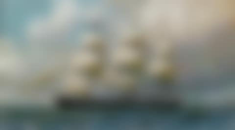 THE SURPRISE' (preview)
